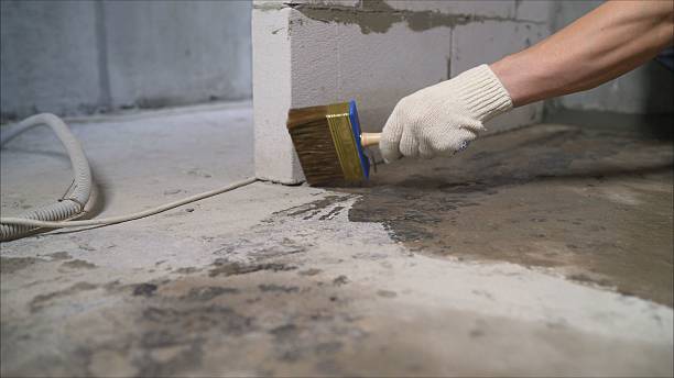 SJ Waterproofing Pros Basement Waterproofing coverage map for Cedar Bluff, AL and surrounding area
